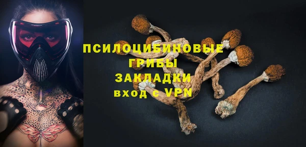 спиды Сафоново