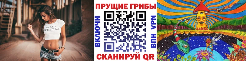 сайты даркнета как зайти  Белинский  Псилоцибиновые грибы мицелий  где найти наркотики 